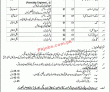 Jobs In Bonmero Transplant Center Rawalpindi