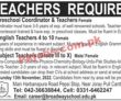 Jobs In Broadway School