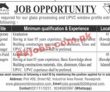 Jobs In Buraq Limited