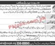 Jobs in CEP Pakistan