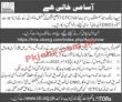 Jobs In Chip Training & Consulting Private Limited