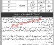 Jobs In Chip Training & Consulting Private Limited