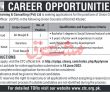 Jobs In Chip Training & Consulting Pvt Ltd