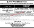 Jobs In Cadet College Choa Saiden Shah Chakwal