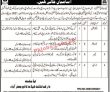 Jobs in Cadet College Jaffarabad
