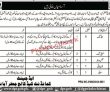 Jobs in Cadet College Jaffarabad