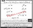 Jobs In Cadet College Jajja