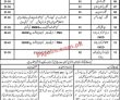 Jobs In Cadet College Kohlu