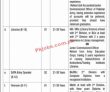 Jobs in Cadet College Muzaffarabad