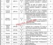 Jobs In Cadet College Noshki