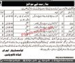 Jobs In Cadet College Pashin
