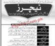Jobs In Cadet College Sialkot