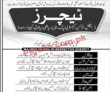 Jobs In Cadet College Sialkot