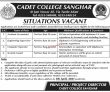 Jobs in Cadet College