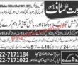 Jobs in Cakes & Bakes