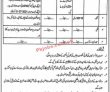 Jobs In Canal Division Bahawalpur Government Of The Punjab