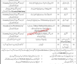 Jobs in Cantt Public Girls High School