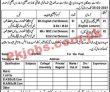 Jobs in Cantt Public High School & College Multan