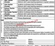 Jobs in Cantt Public School Sanjwal Cantt