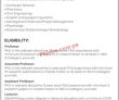 Jobs In Capital University Of Science & Technology