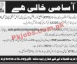 Jobs in Chip Training & Consulting CTC