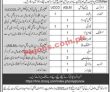 Jobs In Chip Training & Consulting Private Limited