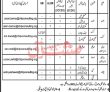 Jobs in Chip Training & Consulting Private Limited