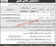 Jobs in Chip Training & Consulting