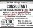 Jobs In Citi Lab