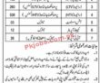 Jobs in Clean Lahore