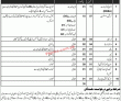 Jobs In Combined Military Hospital Rawalpindi