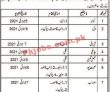 Jobs In Communication Department Balochistan
