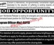 Jobs In Concern Worldwide