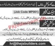 Jobs in Construction Company Lahore