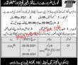 Jobs in DESCON Engineering Limited