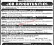 Jobs in DHA Bahawalpur