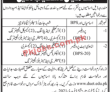 Jobs in Dawood University