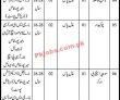 Jobs in Department of Empowerment