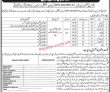 Jobs in Deputy Commissioner Badin