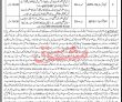 Jobs In Deputy Commissioner Dir Leavies