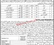 Jobs in Deputy Commissioner Korangi