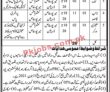 Jobs in Deputy Commissioner Mirpurkhas