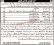 Jobs In Deputy Commissioner Musa Khail