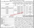 Jobs in Deputy Commissioner Nowshero Feroz