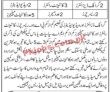 Jobs In Digital Media Agency