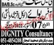 Jobs In Dignity Consultancy