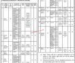 Jobs in Directorate General Livestock Sindh