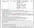 Jobs In Directorate General On Farm Water Management Khyber Pakhtunkhwa