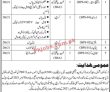Jobs In Directorate Human Rights Government Of Sindh