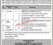 Jobs In Directorate Of Social Welfare Special Education & Women